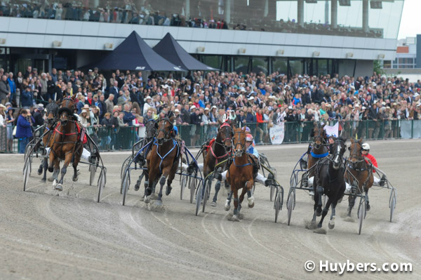 Victoria Park Wolvega Huybers fotografie verslag