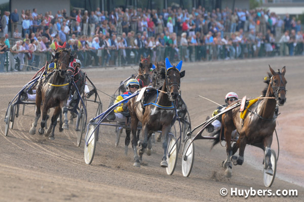 victoria park wolvega draverij draf paardenkoersen