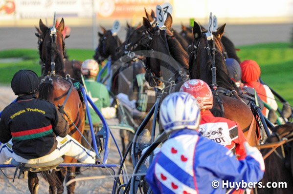 Wolvega Frisian Ascot Day