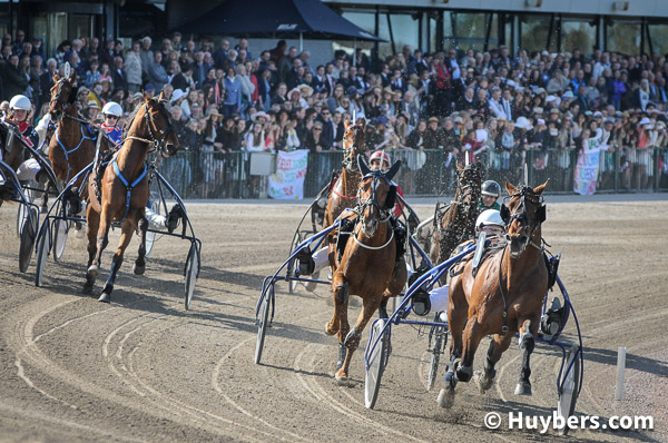 peerdepieten wolvega 2017