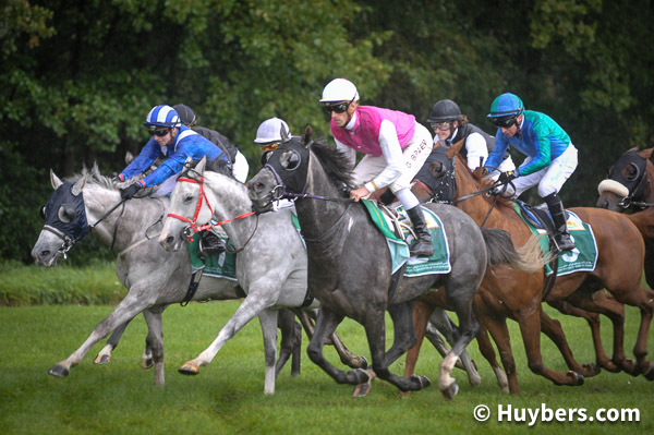 HH. SHEIKH ZAYED BIN SULTAN AL NAHYAN CUP (GR2)